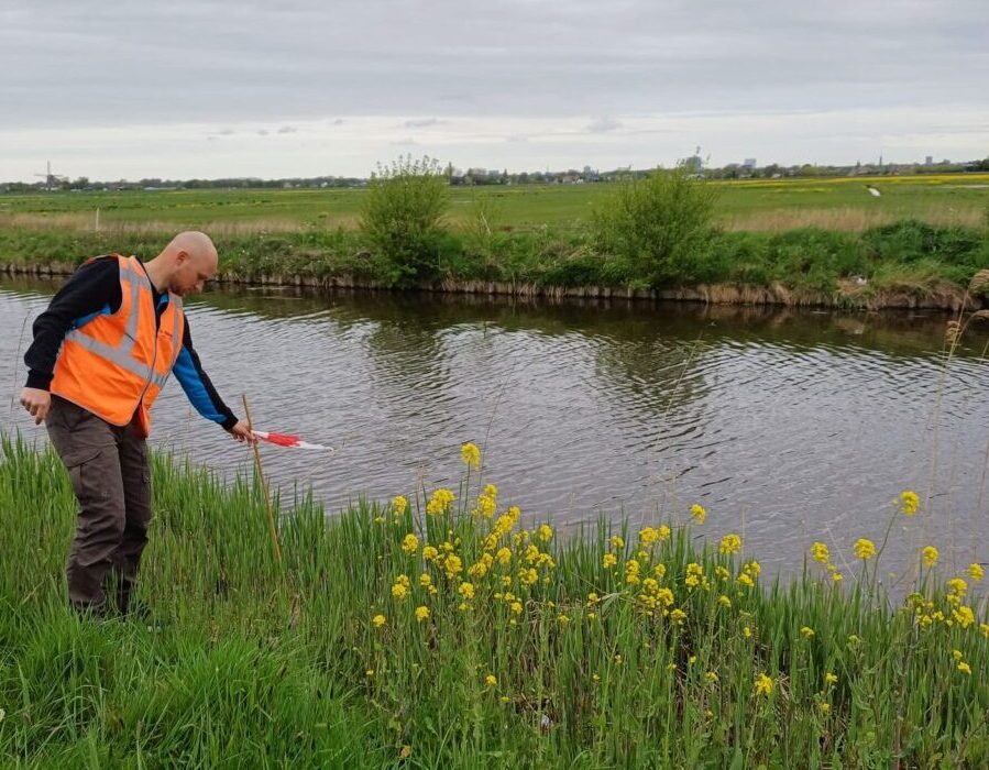 Natuurvriendelijke oevers